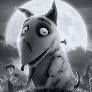 Cartaz do filme Frankenweenie